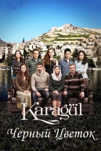 Чёрный цветок/Черная роза